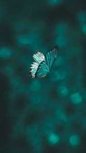 Preview wallpaper butterfly, flight, wings, pattern, macro