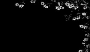 Preview wallpaper butterfly, flower, black background