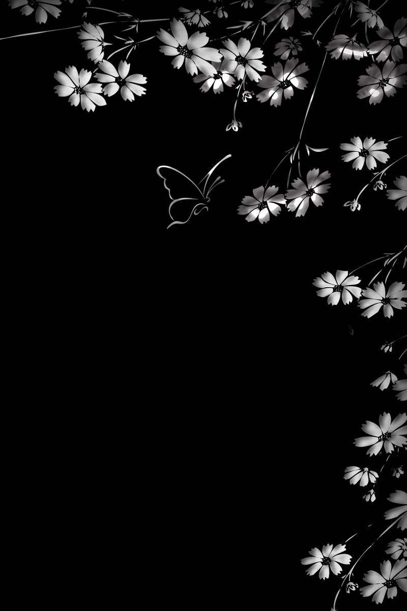 Flower Black Background Pictures  Download Free Images on Unsplash