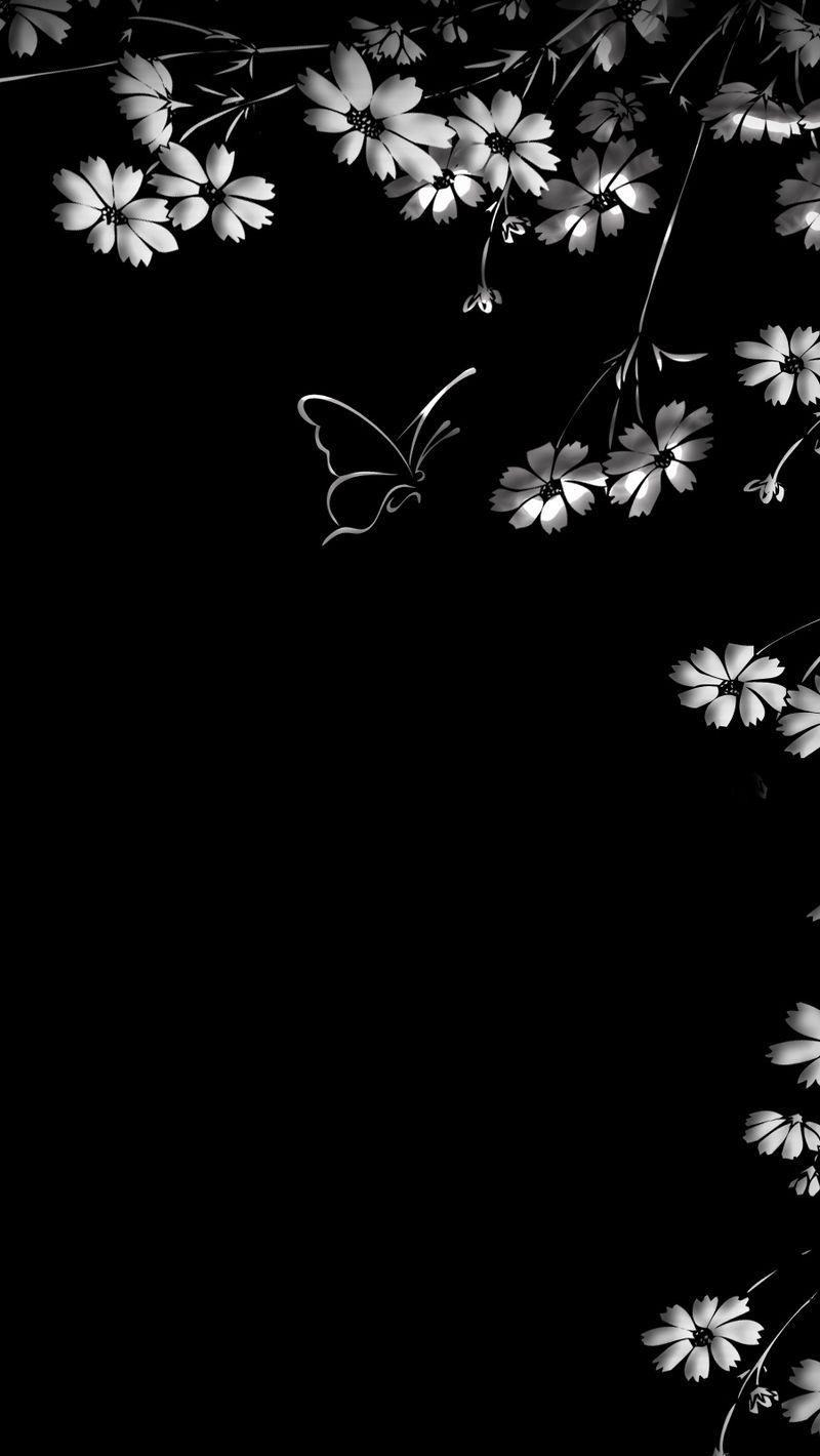 Download wallpaper 800x1420 butterfly, flower, black background iphone ...