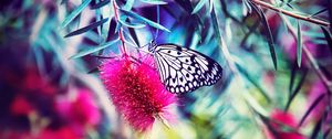Preview wallpaper butterfly, flower, bright, blur