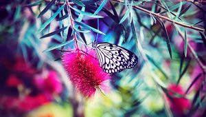 Preview wallpaper butterfly, flower, bright, blur