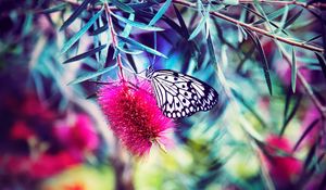 Preview wallpaper butterfly, flower, bright, blur