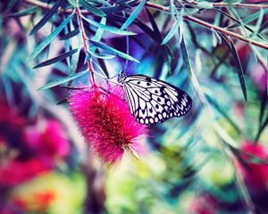 Preview wallpaper butterfly, flower, bright, blur
