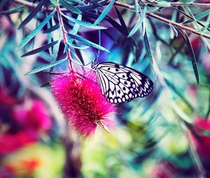 Preview wallpaper butterfly, flower, bright, blur