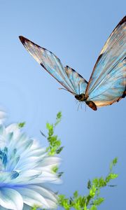 Preview wallpaper butterfly, flower, flying, close-up