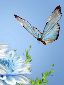 Preview wallpaper butterfly, flower, flying, close-up