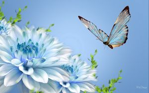 Preview wallpaper butterfly, flower, flying, close-up