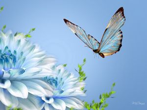 Preview wallpaper butterfly, flower, flying, close-up