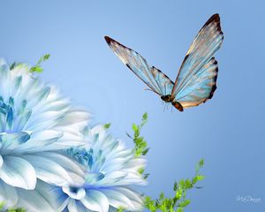 Preview wallpaper butterfly, flower, flying, close-up