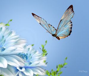 Preview wallpaper butterfly, flower, flying, close-up