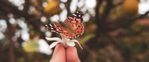 Preview wallpaper butterfly, flower, hand, fingers