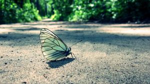 Preview wallpaper butterfly, grass, sand