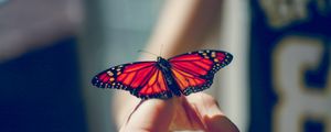 Preview wallpaper butterfly, insect, hand