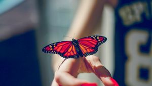 Preview wallpaper butterfly, insect, hand