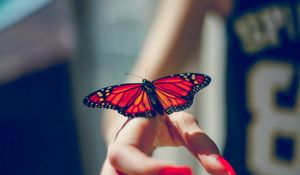 Preview wallpaper butterfly, insect, hand