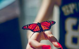 Preview wallpaper butterfly, insect, hand