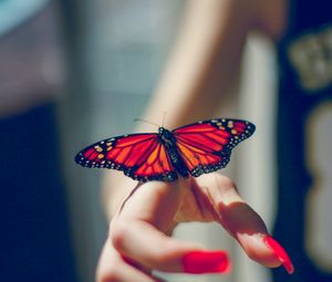 Preview wallpaper butterfly, insect, hand