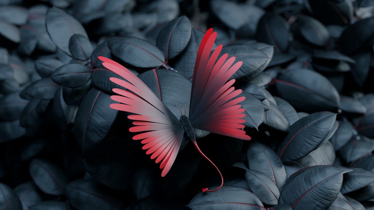 Wallpaper butterfly, leaves, wings, contrast