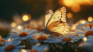 Preview wallpaper butterfly, macro, daisies, light, art