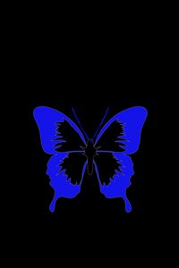 Preview wallpaper butterfly, minimalism, black, blue