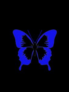 Preview wallpaper butterfly, minimalism, black, blue