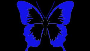 Preview wallpaper butterfly, minimalism, black, blue