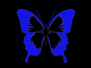 Preview wallpaper butterfly, minimalism, black, blue