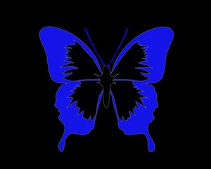 Preview wallpaper butterfly, minimalism, black, blue