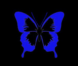 Preview wallpaper butterfly, minimalism, black, blue