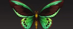 Preview wallpaper butterfly, patterns, wings, insect