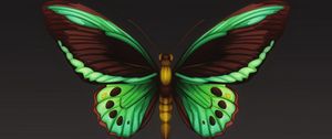 Preview wallpaper butterfly, patterns, wings, insect