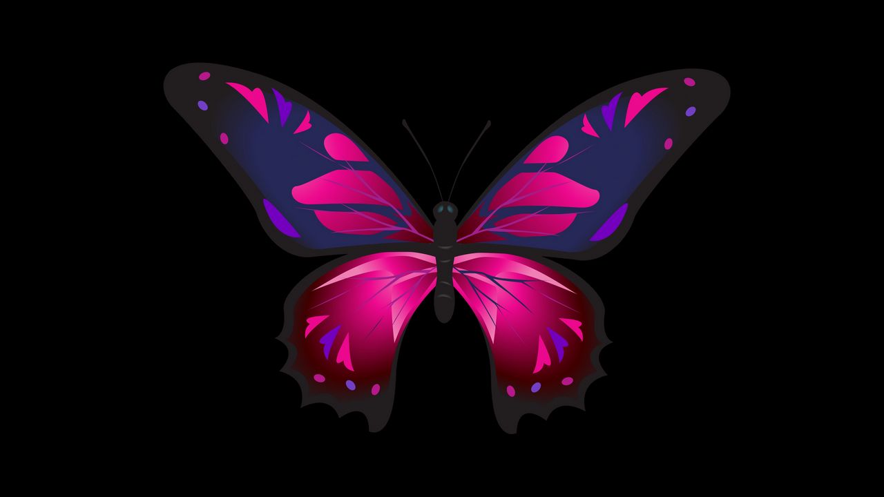 Wallpaper butterfly, patterns, wings, dark background