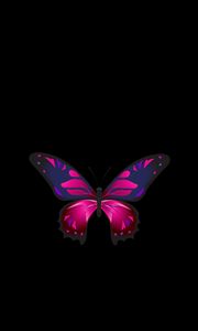 Preview wallpaper butterfly, patterns, wings, dark background