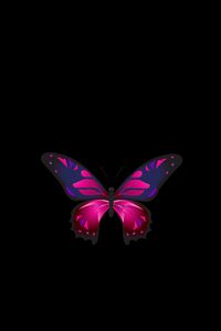 Preview wallpaper butterfly, patterns, wings, dark background