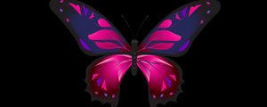 Preview wallpaper butterfly, patterns, wings, dark background