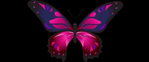 Preview wallpaper butterfly, patterns, wings, dark background