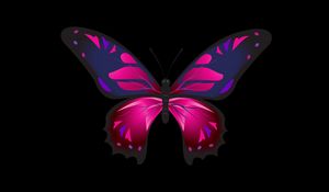 Preview wallpaper butterfly, patterns, wings, dark background