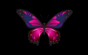 Preview wallpaper butterfly, patterns, wings, dark background