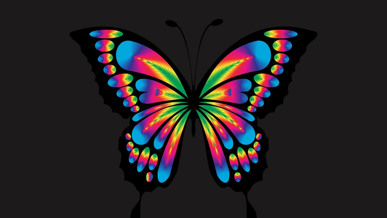 Wallpaper butterfly, shine, bright, multicolored, chromatic, prismatic
