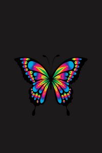 Preview wallpaper butterfly, shine, bright, multicolored, chromatic, prismatic