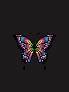 Preview wallpaper butterfly, shine, bright, multicolored, chromatic, prismatic