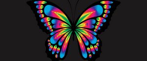 Preview wallpaper butterfly, shine, bright, multicolored, chromatic, prismatic