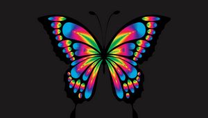 Preview wallpaper butterfly, shine, bright, multicolored, chromatic, prismatic
