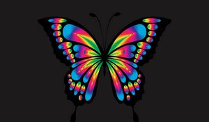 Preview wallpaper butterfly, shine, bright, multicolored, chromatic, prismatic