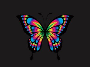 Preview wallpaper butterfly, shine, bright, multicolored, chromatic, prismatic