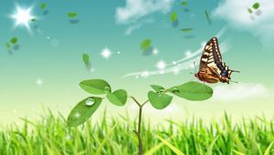 Preview wallpaper butterfly, stem, petal, nature, sit