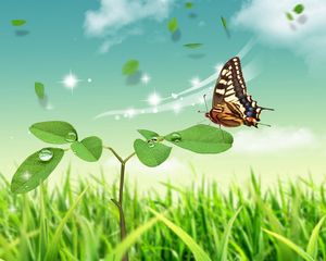 Preview wallpaper butterfly, stem, petal, nature, sit