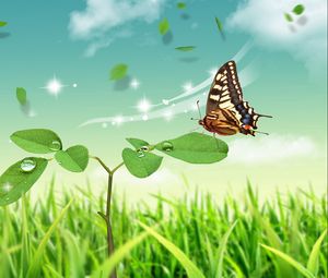 Preview wallpaper butterfly, stem, petal, nature, sit