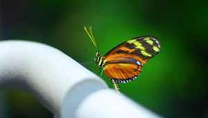 Preview wallpaper butterfly, surface, pipe, shadow